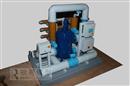 Ballast water equipment model